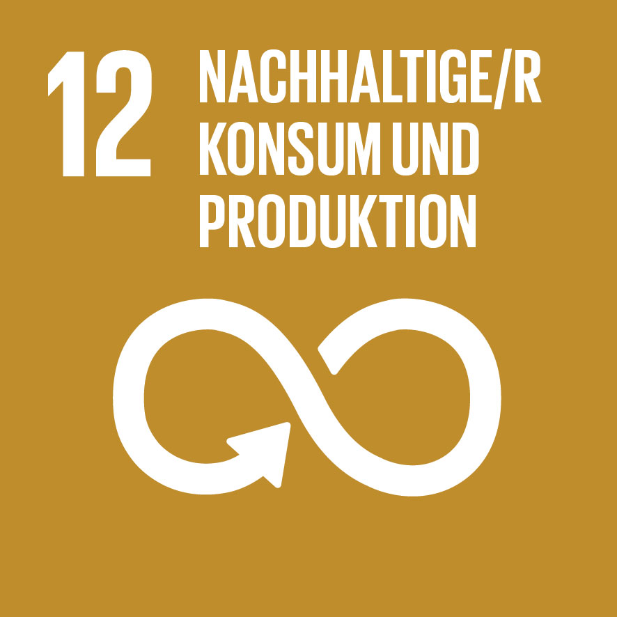 Logo SDG 18 Deutsch